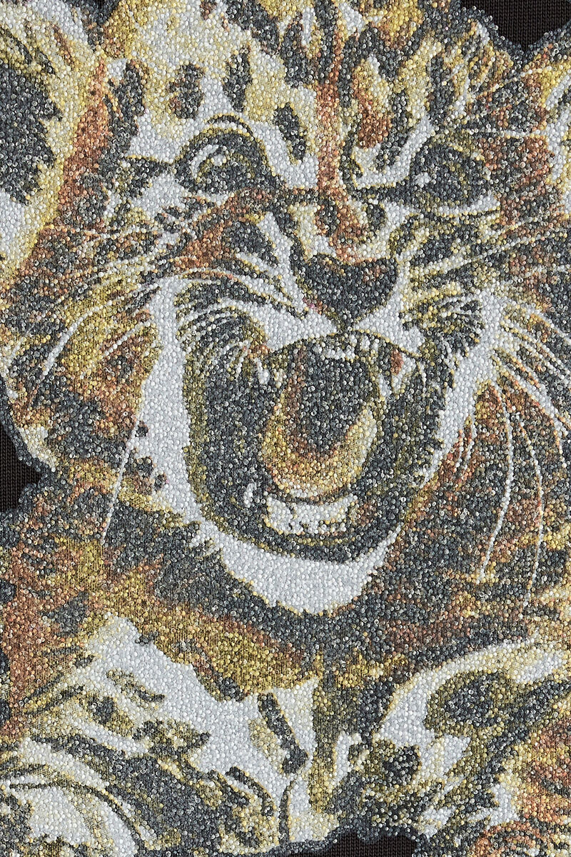 T-shirt with Tiger