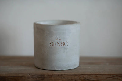 'Pati' Candle