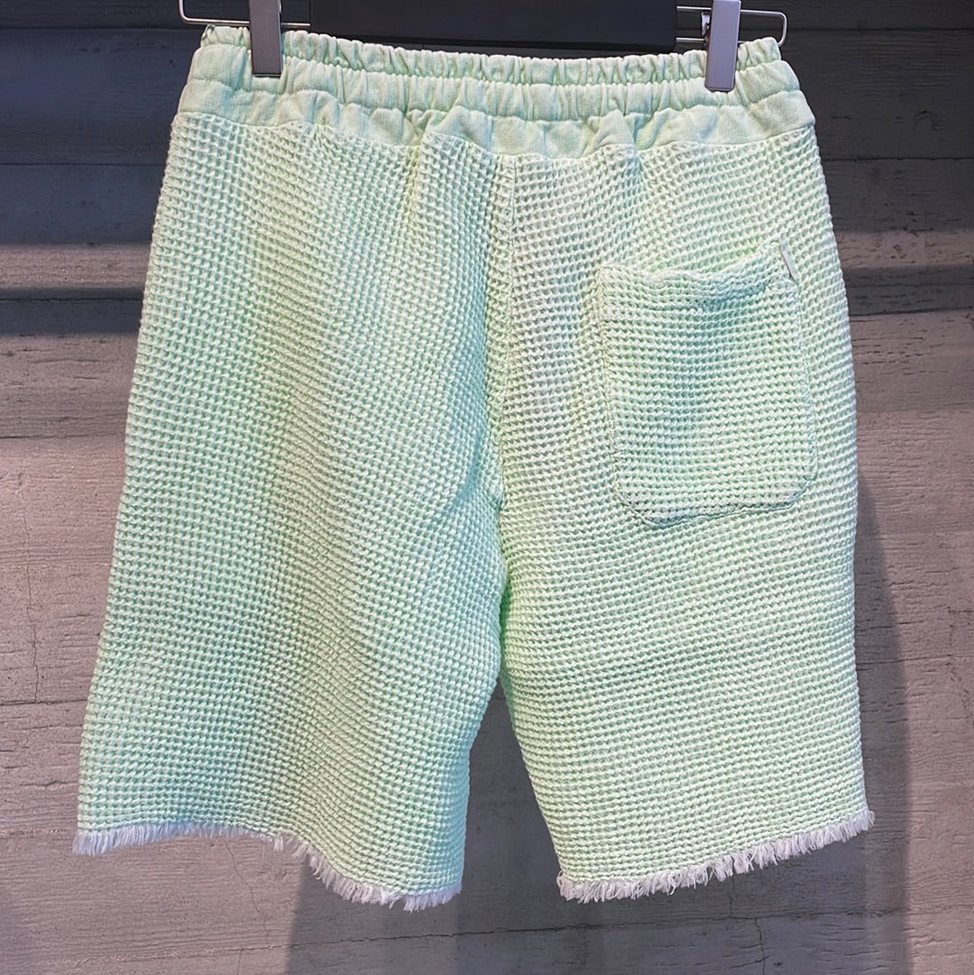 Ligirs light green shorts